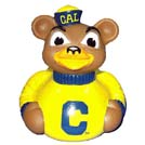 CalBear