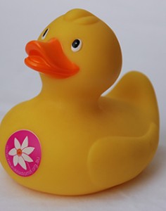 duck for their fundraising promotional giveaway items